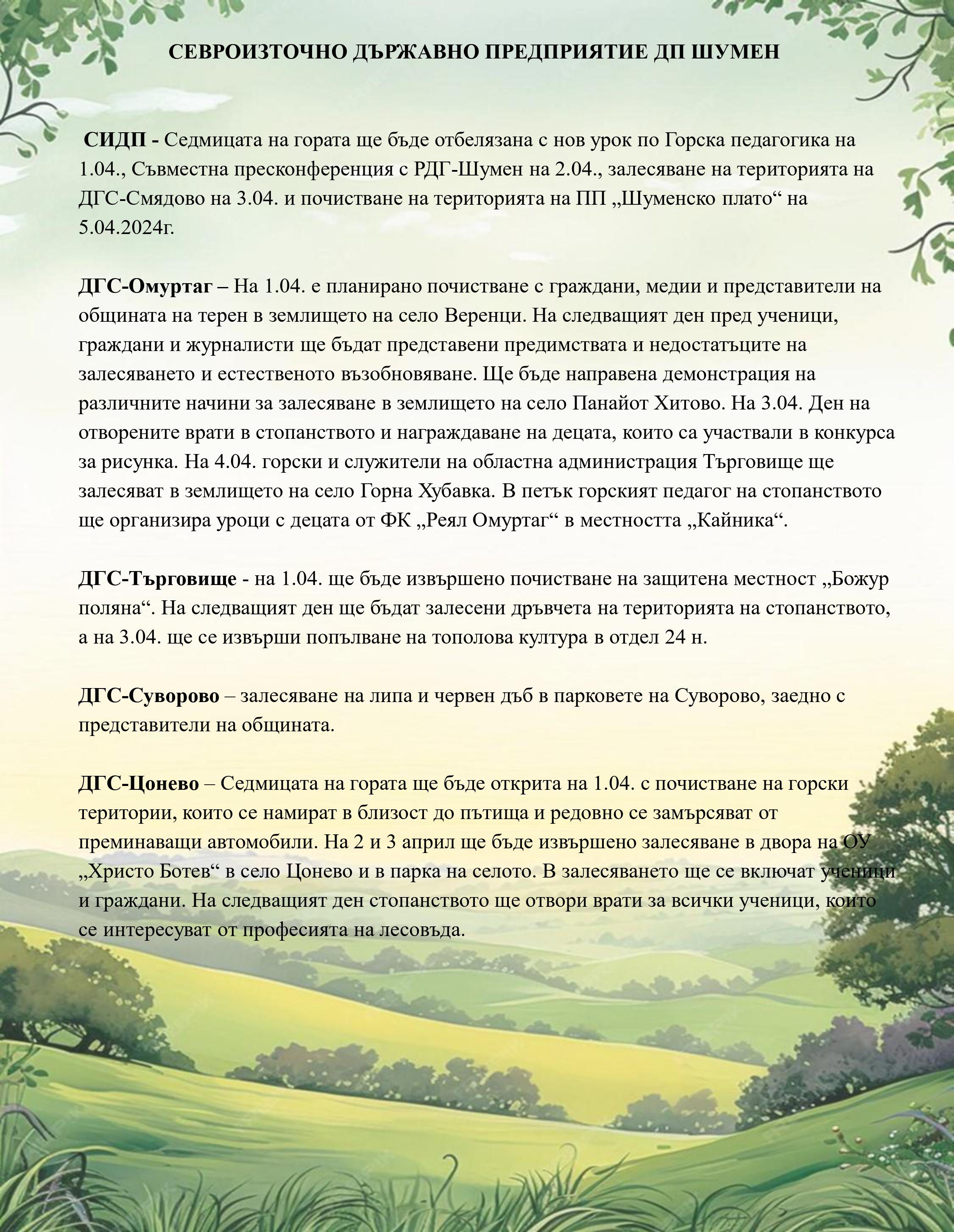 forest
